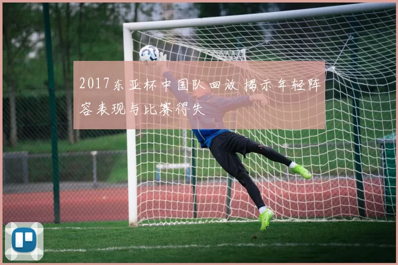 2017东亚杯中国队回放 揭示年轻阵容表现与比赛得失