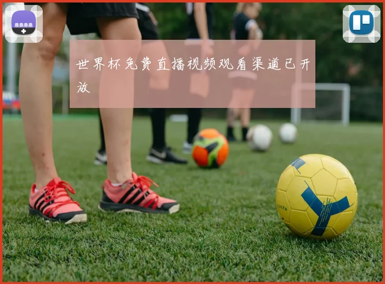 世界杯免费直播视频观看渠道已开放