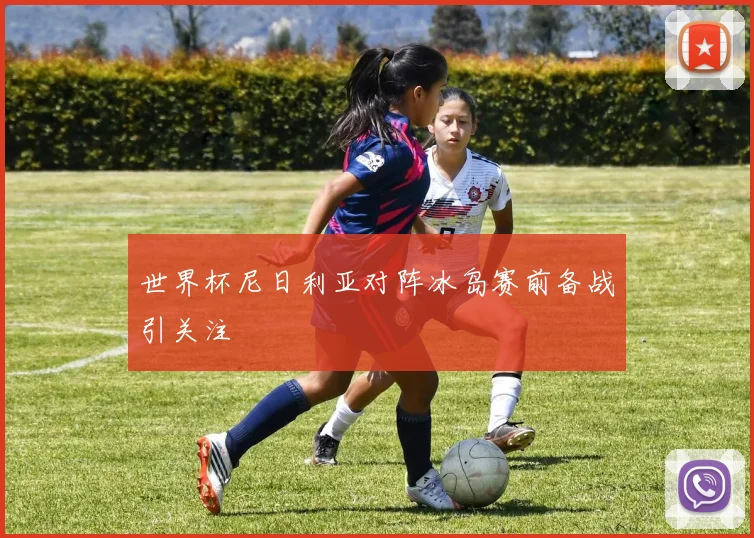 世界杯尼日利亚对阵冰岛赛前备战引关注