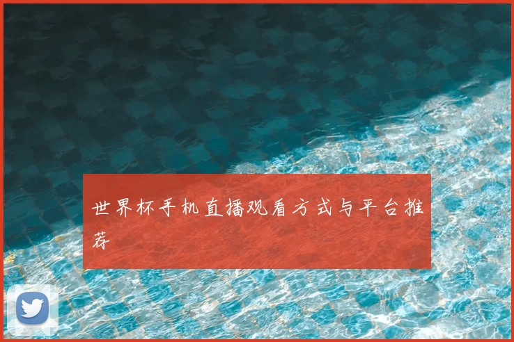 世界杯手机直播观看方式与平台推荐